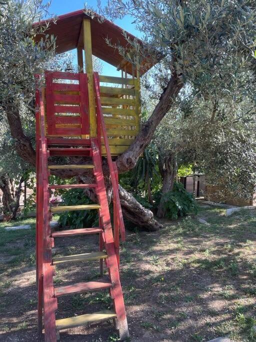 Апартаменты La Dimora Delle Rose Пассиньяно-суль-Тразимено Экстерьер фото